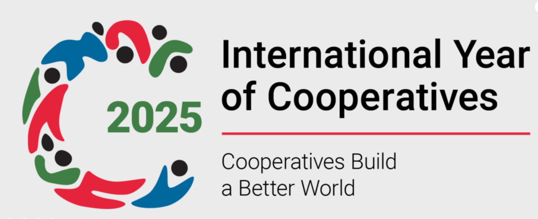 International Year of Cooperatives (IYC)